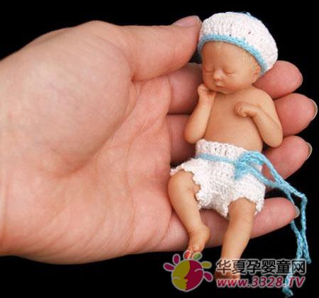 世界上最小的婴儿躺在手心里