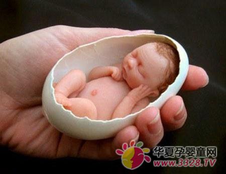 世界上最小的婴儿躺在蛋壳里
